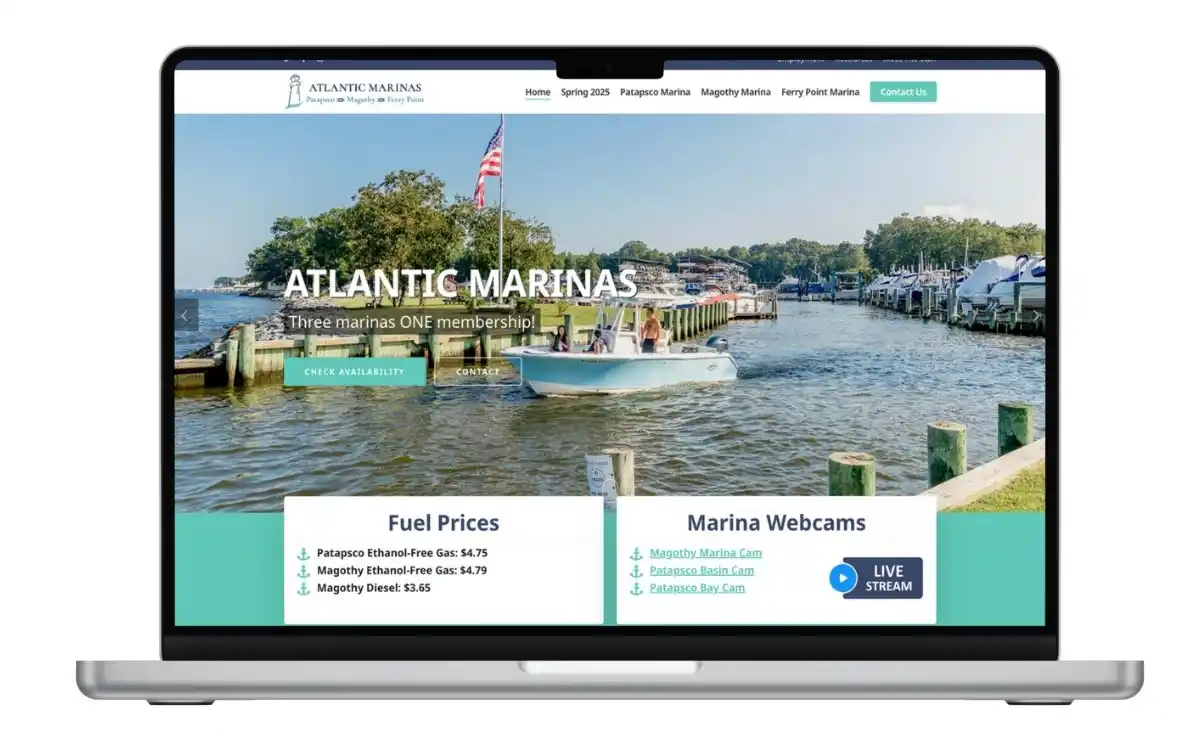 mint-media-web-design7